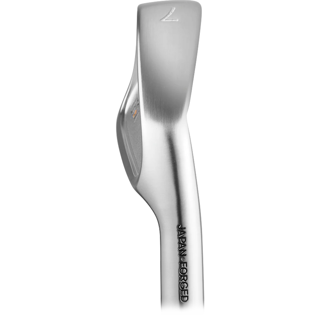 VEGA Lyra Irons
