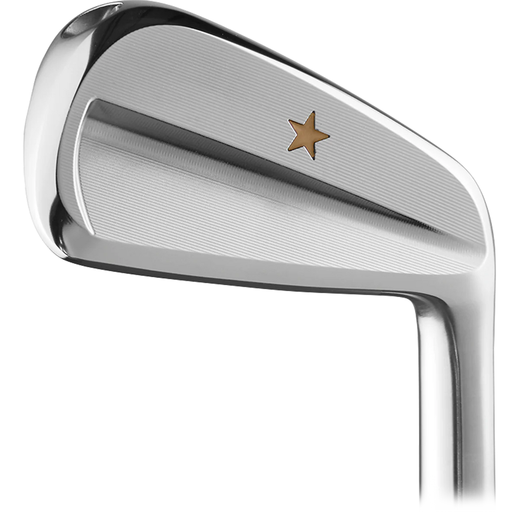 VEGA SS Irons Heads Only