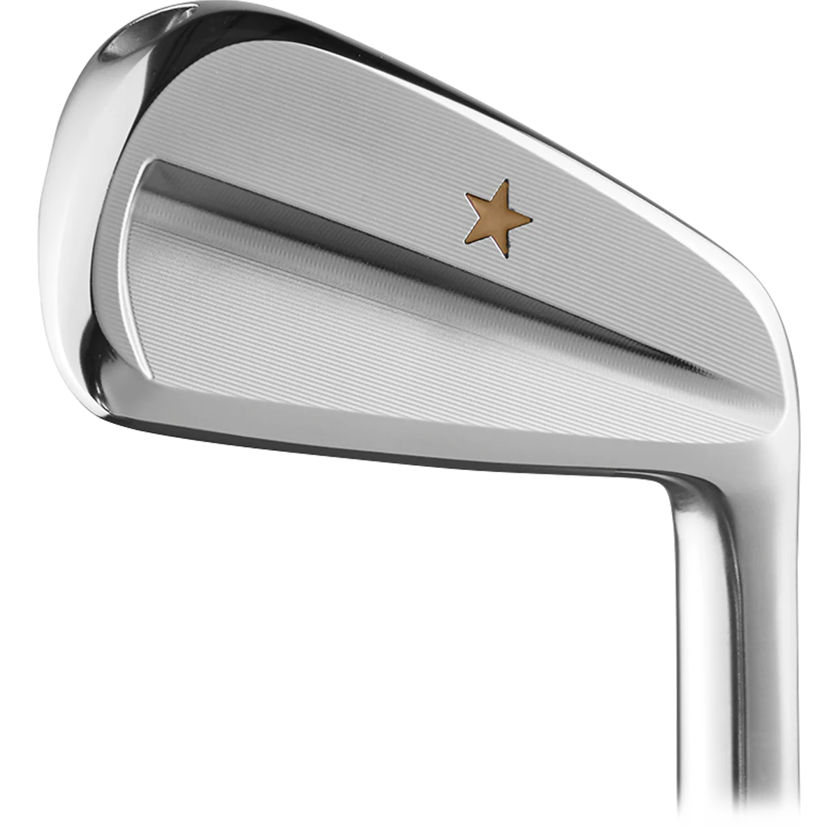 VEGA SS Irons Heads Only