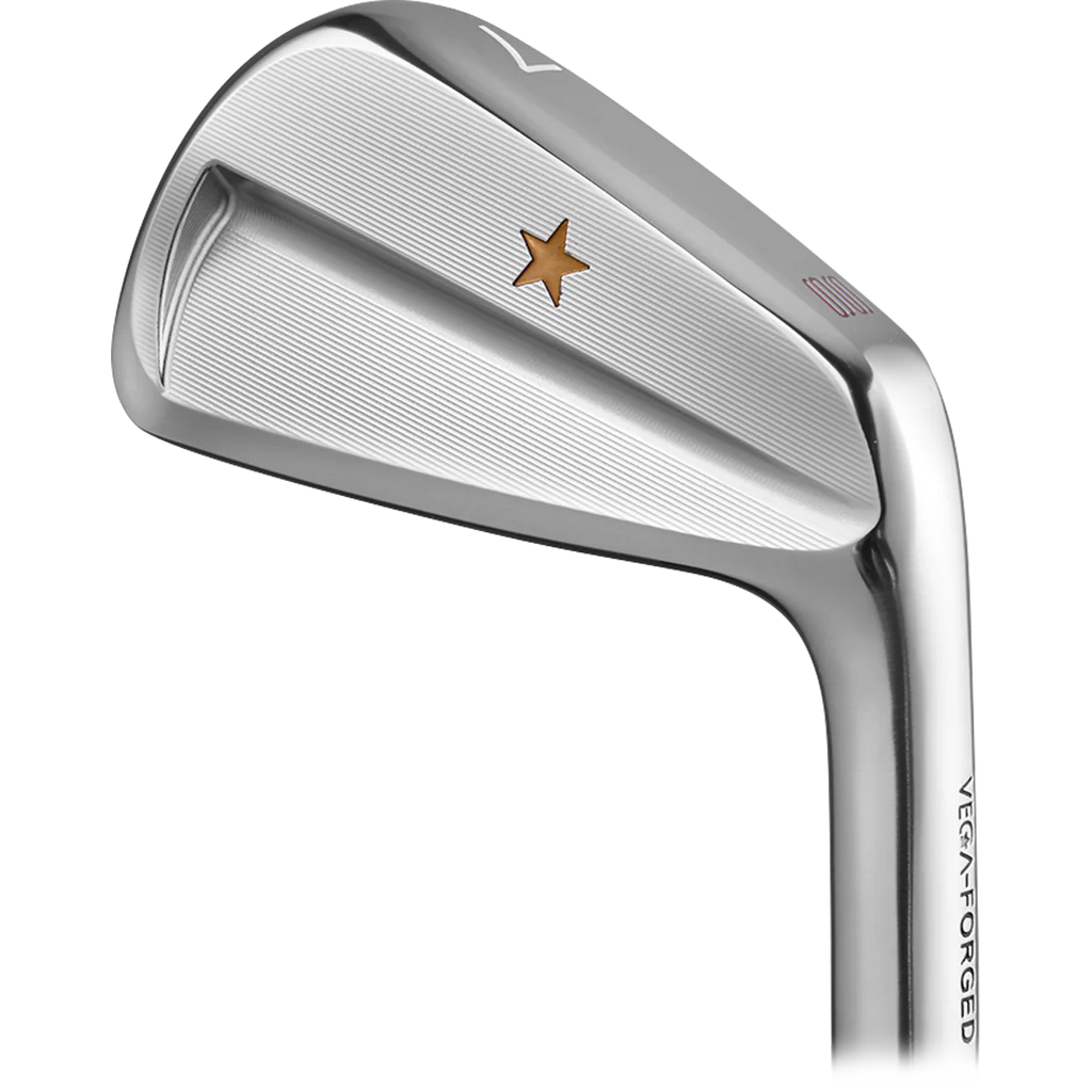 VEGA SS Irons Heads Only