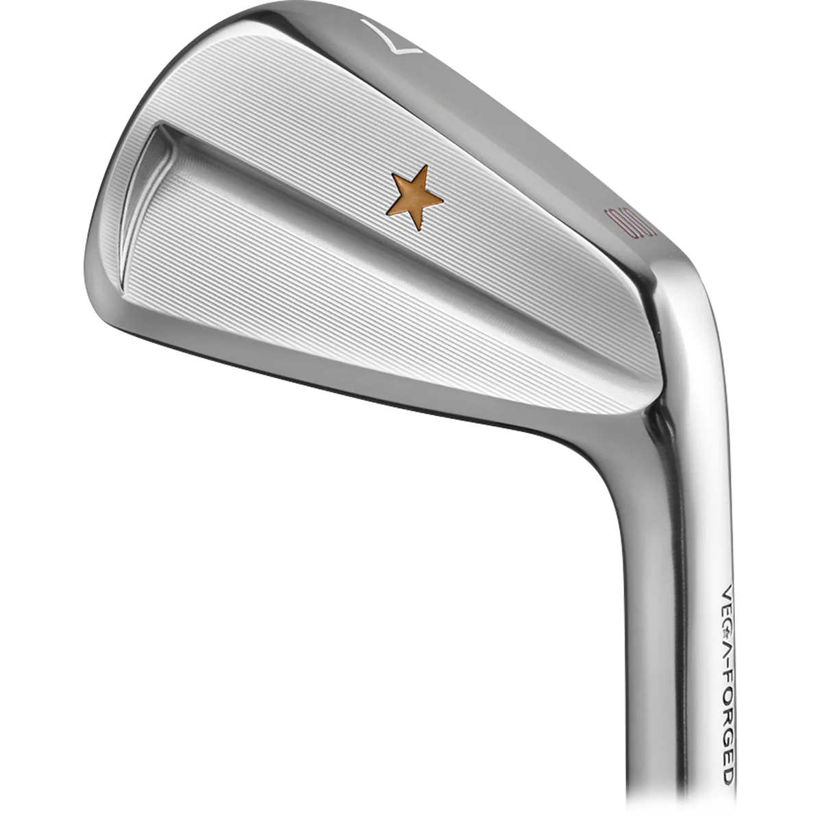VEGA SS Irons Heads Only