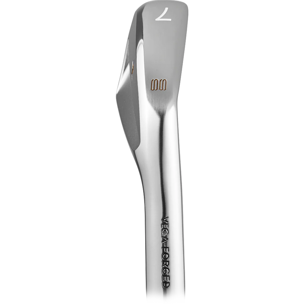 VEGA SS Irons Heads Only