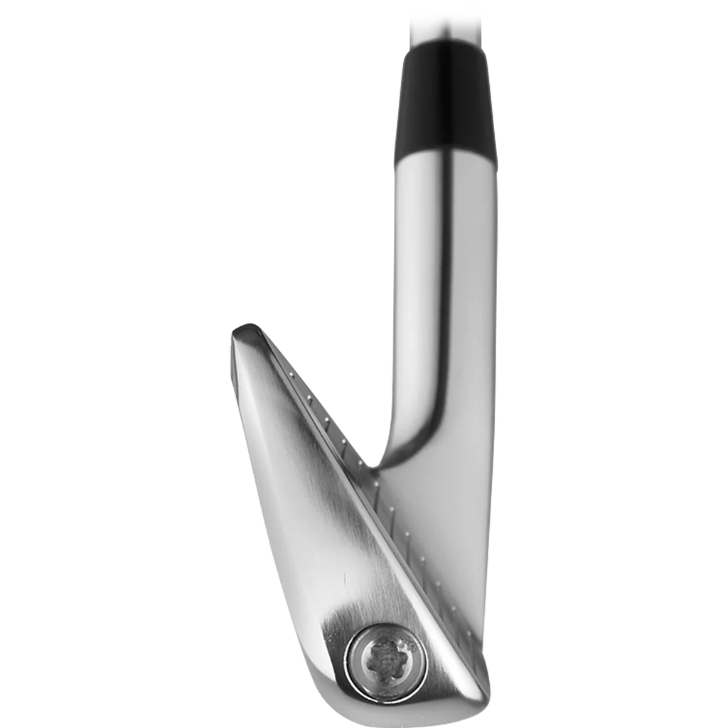 VEGA SS Irons Heads Only