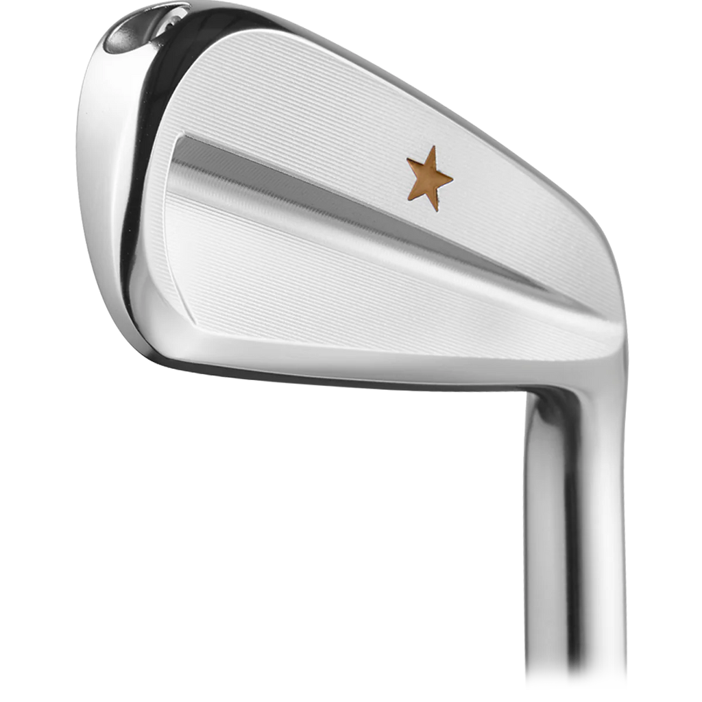 VEGA SS Irons Heads Only