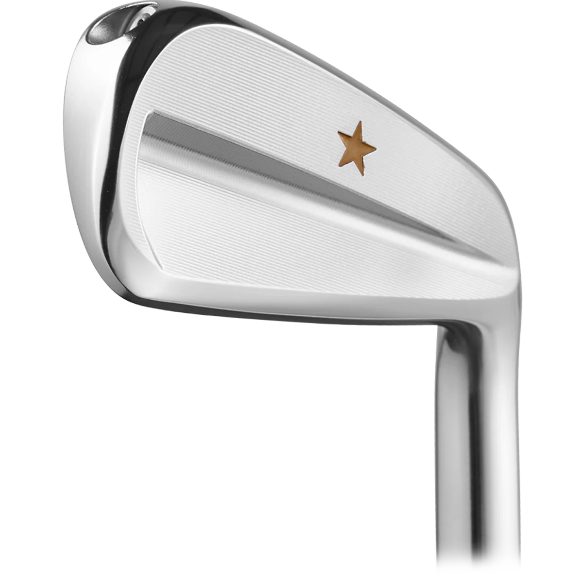 VEGA SS Irons Heads Only