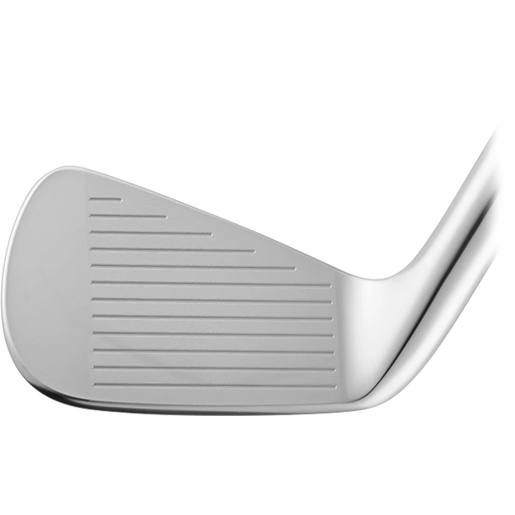 VEGA SS Irons Heads Only
