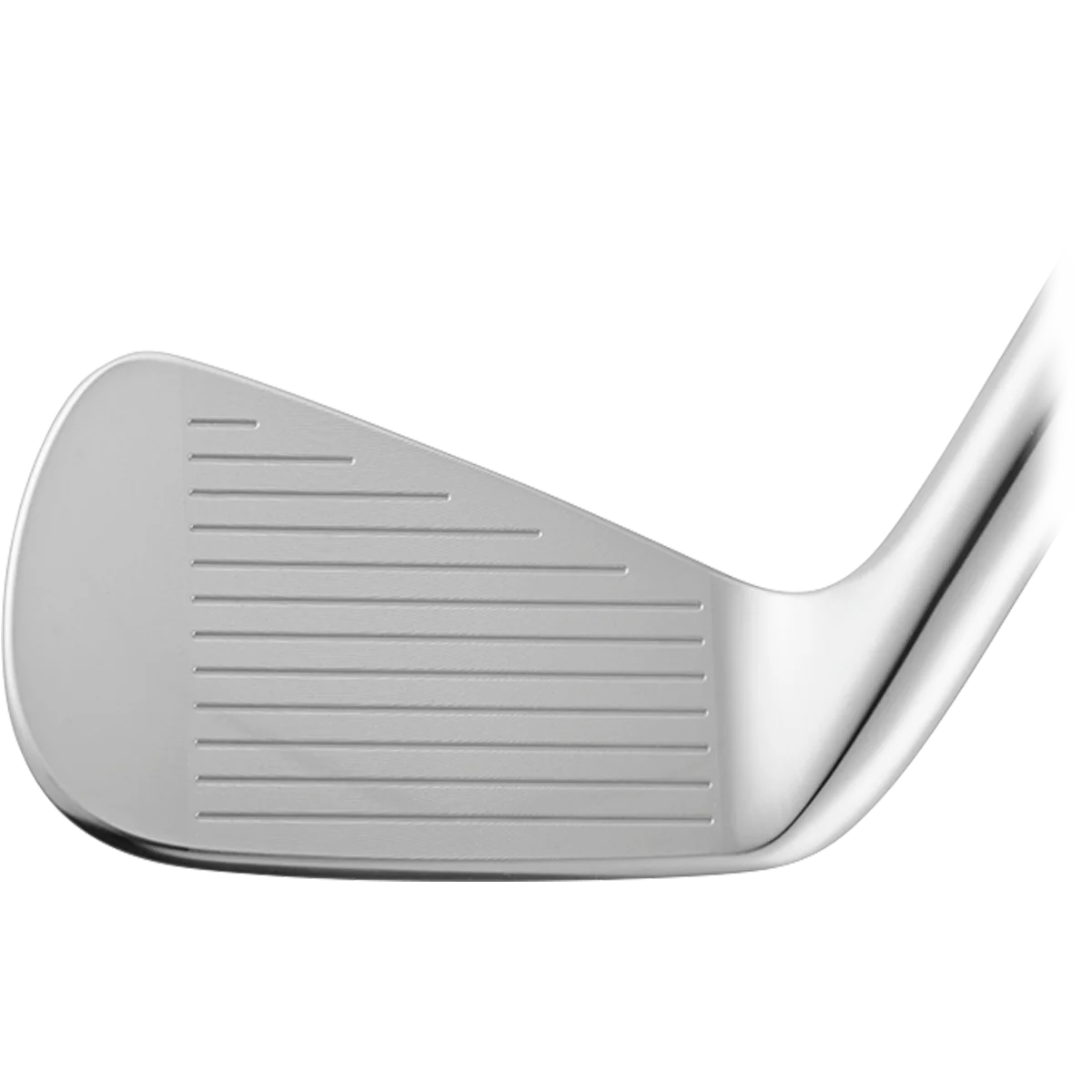 VEGA SS Irons Heads Only