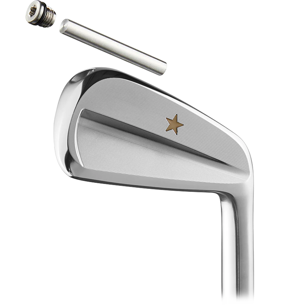 VEGA SS Irons Heads Only
