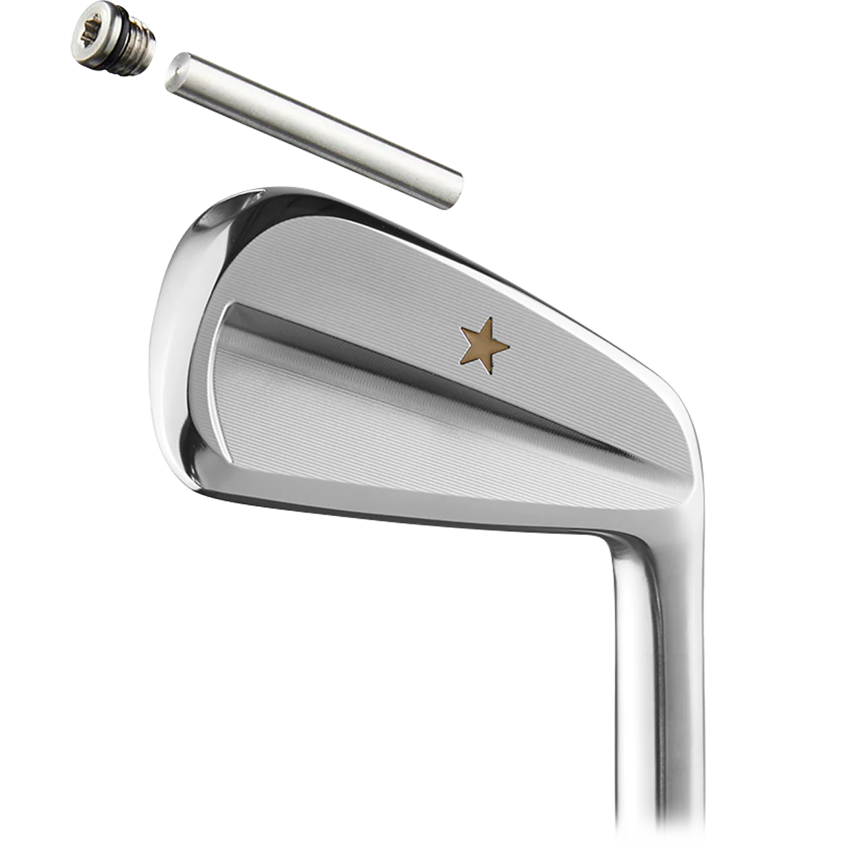VEGA SS Irons Heads Only